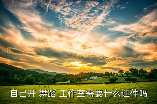 舞起专业舞蹈工作室,爱舞空间舞蹈工作室怎么样