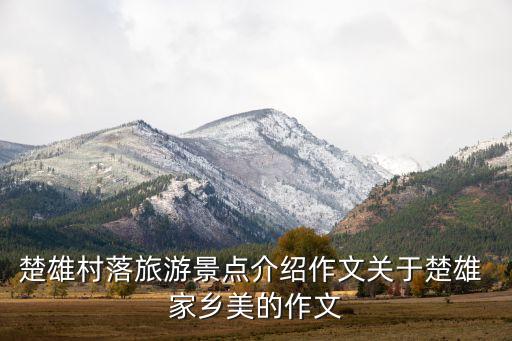 舞蹈家乡美背面分解,家乡美傣族舞蹈视频及分解