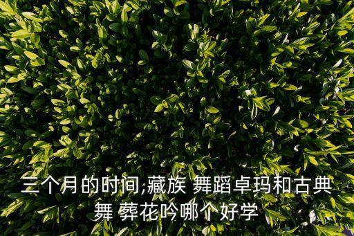 秦来财舞蹈葬花吟教学