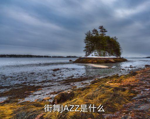 舞蹈培训视频爵士,如皋爵士舞蹈培训在哪