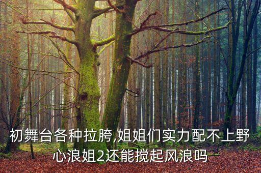 《大碗宽面》舞蹈教学