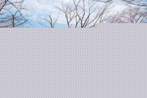 深圳舞蹈教学网,中国家舞蹈协会教学网
