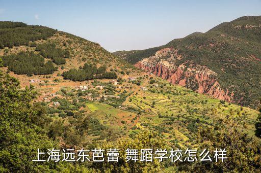 专业舞台舞蹈,最好的舞台小学生舞蹈
