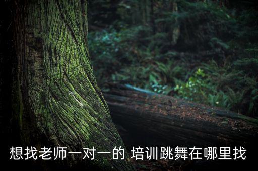 艺术培训舞蹈视频,郭金舞蹈艺术培训怎么样