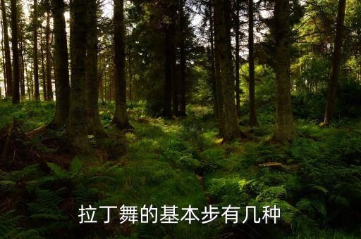 换花舞蹈动作,八瓣花舞蹈动作笔记