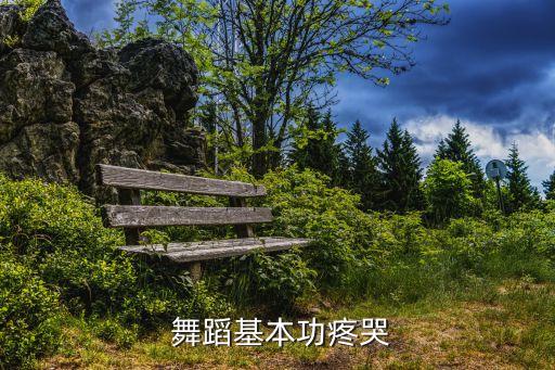 艺校舞蹈压腿的痛苦视