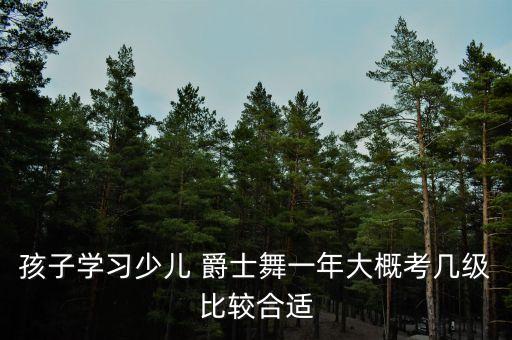 全国爵士舞蹈考级教材,爵士舞蹈考级证书有几种 哪个最权威