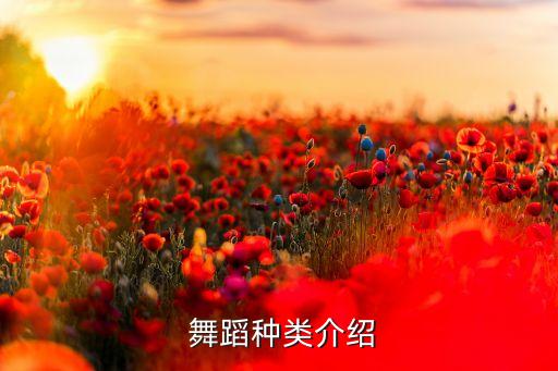 四人舞蹈队形图片,适合四人排的舞蹈队形