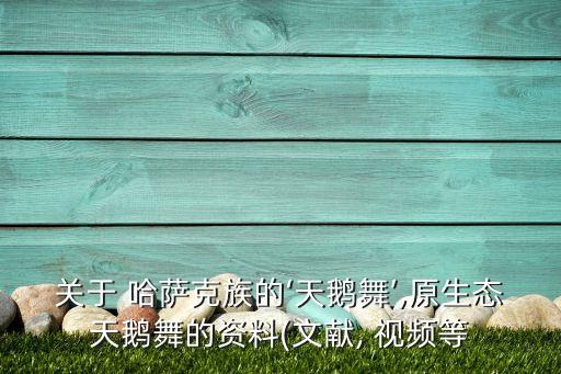 哈萨克儿童舞蹈视频