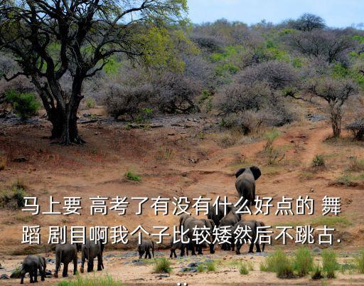 蒙古舞蹈高考剧目,幼师技能高考舞蹈剧目推荐
