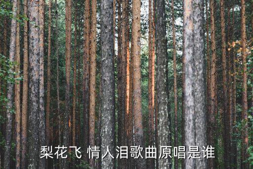 广场舞蹈屋梨花飞情人泪