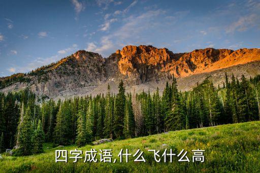 飞去来兮舞蹈远走高飞