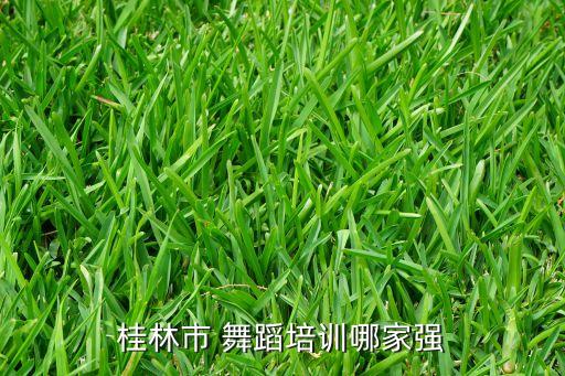 上海舞蹈室推荐,舞蹈上海谣视频