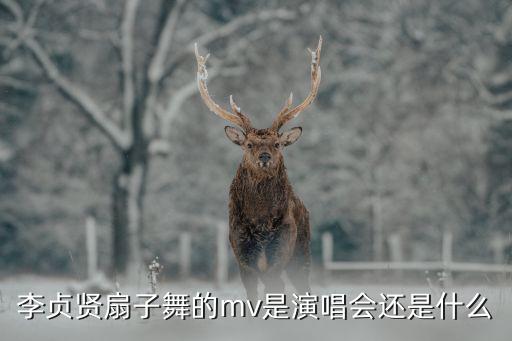 大美中国 大花瓣舞蹈