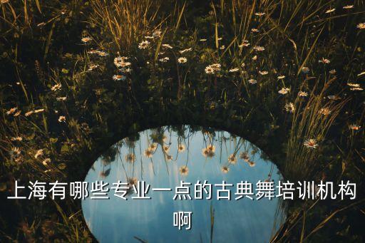少儿 舞蹈 私教,舞蹈私教一对一