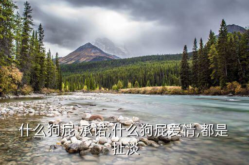 扯淡的承诺舞蹈,什么承诺都是扯淡怎么回复