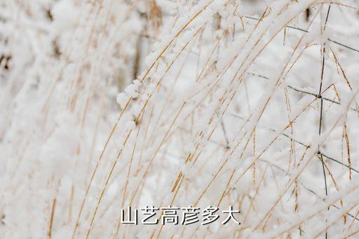 山东艺术学院舞蹈16级春