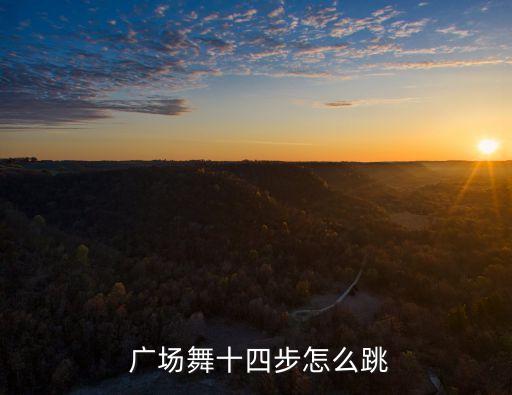 个人广场舞蹈教学视频,失恋阵线联盟广场舞蹈教学视频