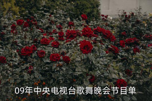 孙锐 舞蹈,孙锐舞蹈演员现在没有消息了