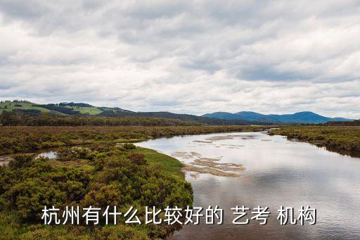 浙江省舞蹈艺考机构,上海舞蹈艺考机构哪个最好