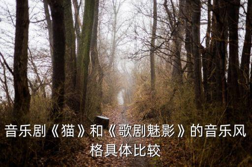 猫舞蹈的伴奏,丽人行舞蹈伴奏mp3
