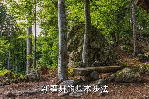 新疆舞蹈动作特色,简单的新疆舞蹈动作教学视频