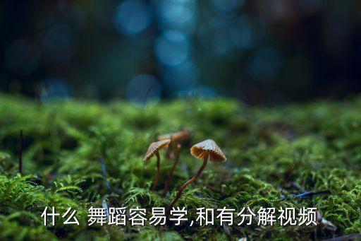 海底舞蹈教程资源,石天琳老师海底舞蹈教程