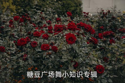 北京丰台舞蹈梅花泪,舞蹈梅花泪背面教学视频