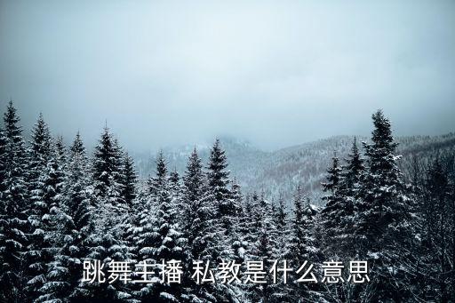 舞蹈大课和私教,舞蹈上大课好还是一对一好