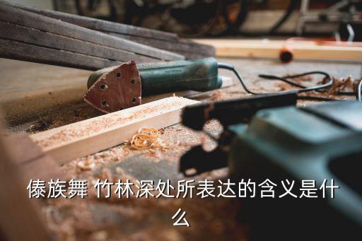简单的傣族舞蹈雨竹林,雨竹林舞蹈视频 傣族 桃李杯