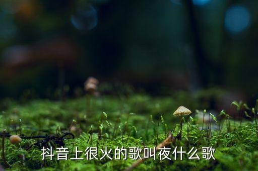 搜索夜夜夜漫长舞蹈,夜夜夜漫长舞蹈教学视频分解动作