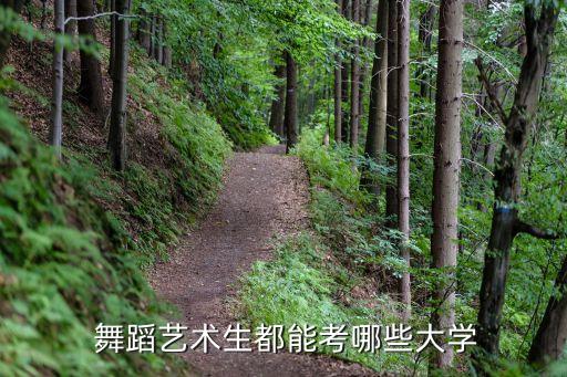 2020年高考舞蹈生报考,重庆市2020年高考舞蹈分数线