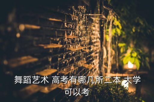 舞蹈大学高考报名大全,艺术舞蹈生高考380能上什么大学