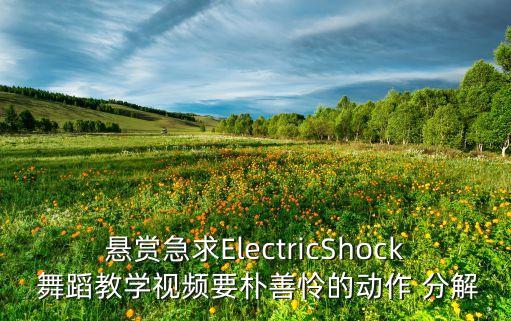 北京舞蹈学院分解动作,舞蹈梅花泪北京舞蹈学院分解动作