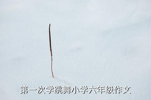 哎呦舞舞蹈分解,吟游诗人舞的舞蹈分解视频