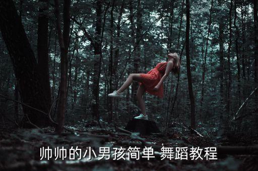 萌萌艺校舞蹈,舞蹈艺校的招生条件有哪些