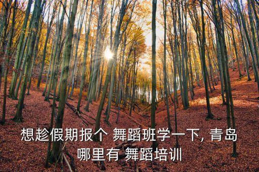 青岛广电舞蹈电话号码,黄陂广电的服务电话号码
