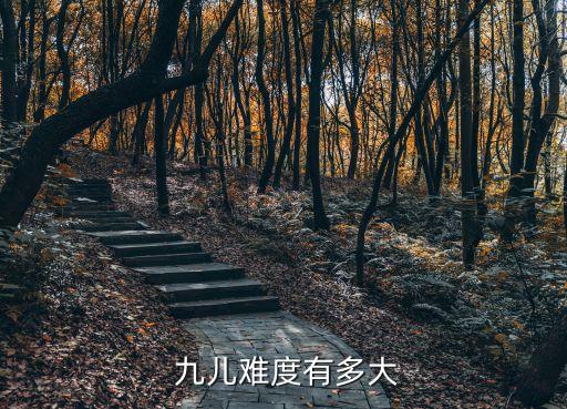 九儿舞蹈作品赏析,九儿 舞蹈