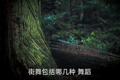 《国家》舞蹈教学视频,舞蹈《国家》视频完整版