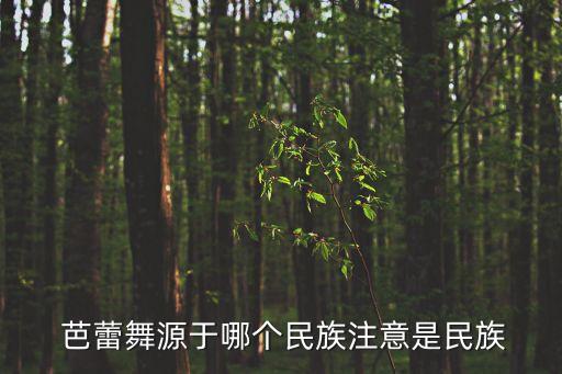 芭蕾舞是国际舞蹈吗,天鹅湖芭蕾舞舞蹈鉴赏