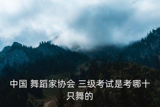 中国舞蹈考级三级滴,数星星中国舞蹈考级三级