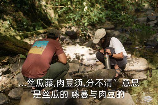舞蹈藤蔓青青,青青竹儿舞蹈视频完整版