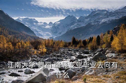 舞蹈编导是什么,大学的舞蹈编导是什么