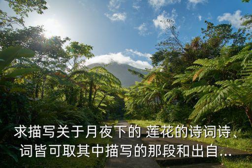 月下莲花开舞蹈教学,幼儿舞蹈七彩莲花教学