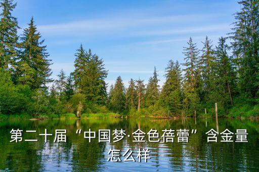 中国梦舞蹈动作分解