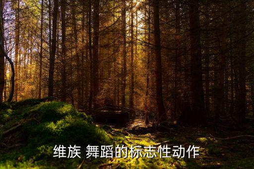 维吾尔舞蹈步伐教程,简单步伐舞蹈教程视频