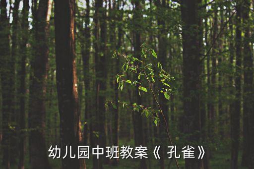舞蹈三级小孔雀北舞,小孔雀舞蹈考级视频三级