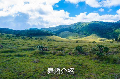 体育舞蹈解释组合,中国体育舞蹈联合会五级组合