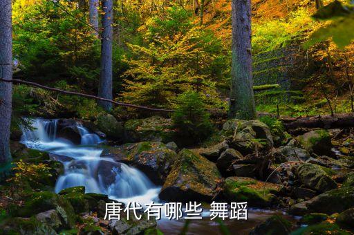 带故事情节的舞蹈,舞蹈故事情节怎么写