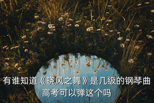 舞蹈绣金匾.mkv